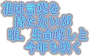 花は言葉を   持たないが  唯、生命尊しと 　　今年も咲く