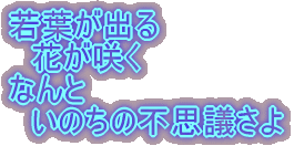 若葉が出る 　花が咲く なんと 　いのちの不思議さよ