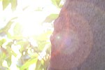 Kotoba 0508