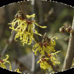 帰っていくところ