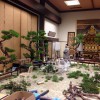 難波別院報恩講立華