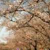 3月28日の「福島の子どもたちとバーベキュー」の報告 3月28日の「福島の子どもたちとバーベキュー」の報告