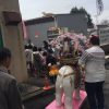 象さんパオーン