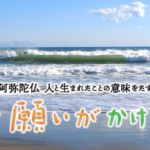 しゃらりん37／教区テーマに感じたこと