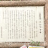戦争展実行委員会 屯鶴峯(どんづるぼう)フィ-ルドワ-ク(12/14) 戦争展実行委員会 屯鶴峯(どんづるぼう)フィ-ルドワ-ク(12/14)