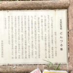 戦争展実行委員会　屯鶴峯（どんづるぼう）フィ－ルドワ－ク（12／14）